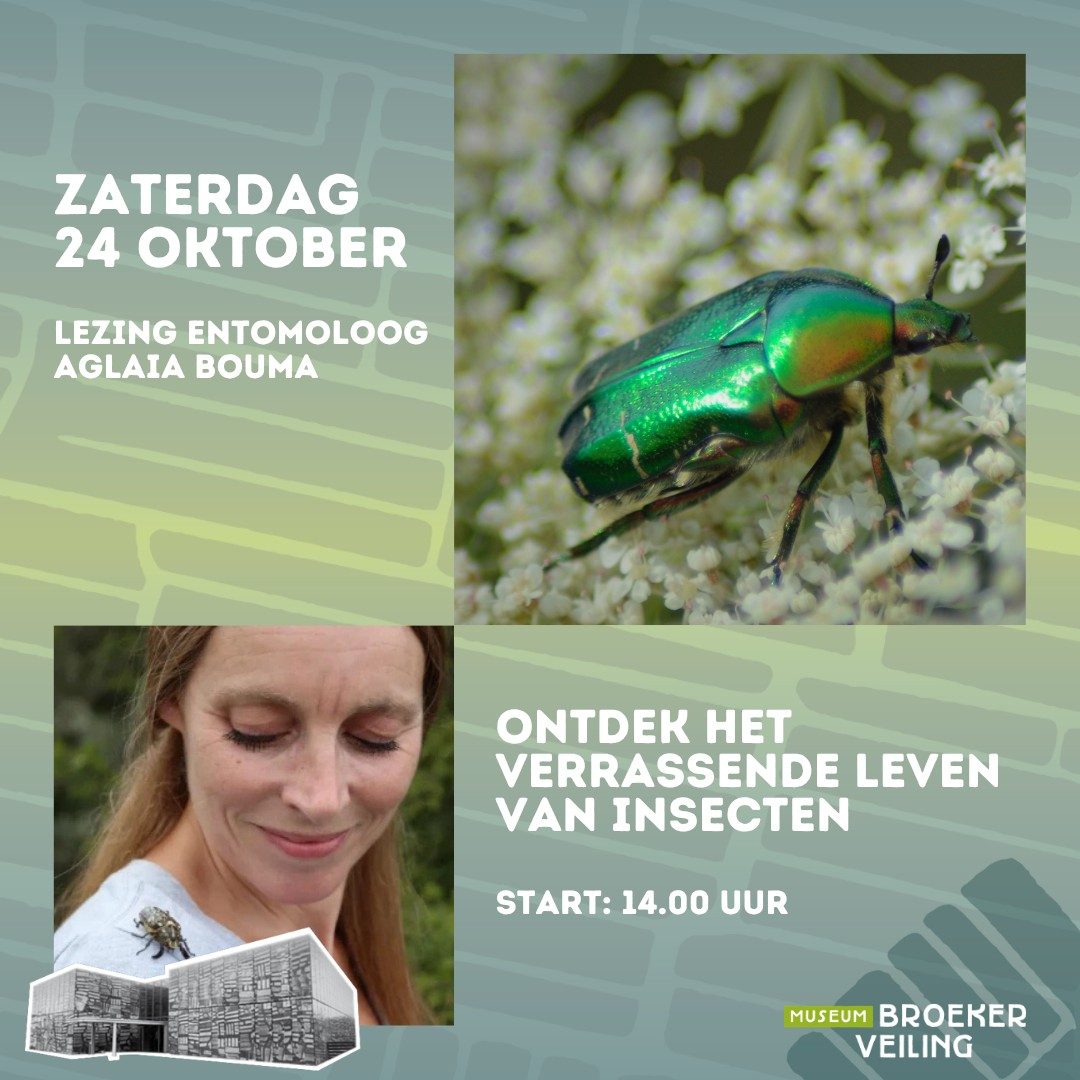 Insectenrijk met Aglaia Bouma at Museum BroekerVeiling