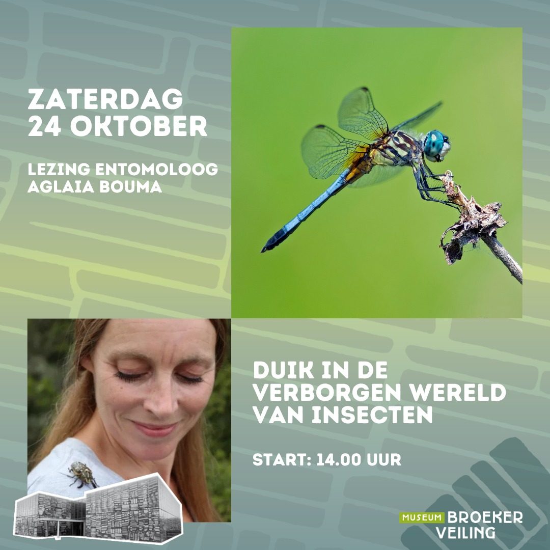 Insect Flirting Lecture — Museum BroekerVeiling, Saturday, 24 October 2026