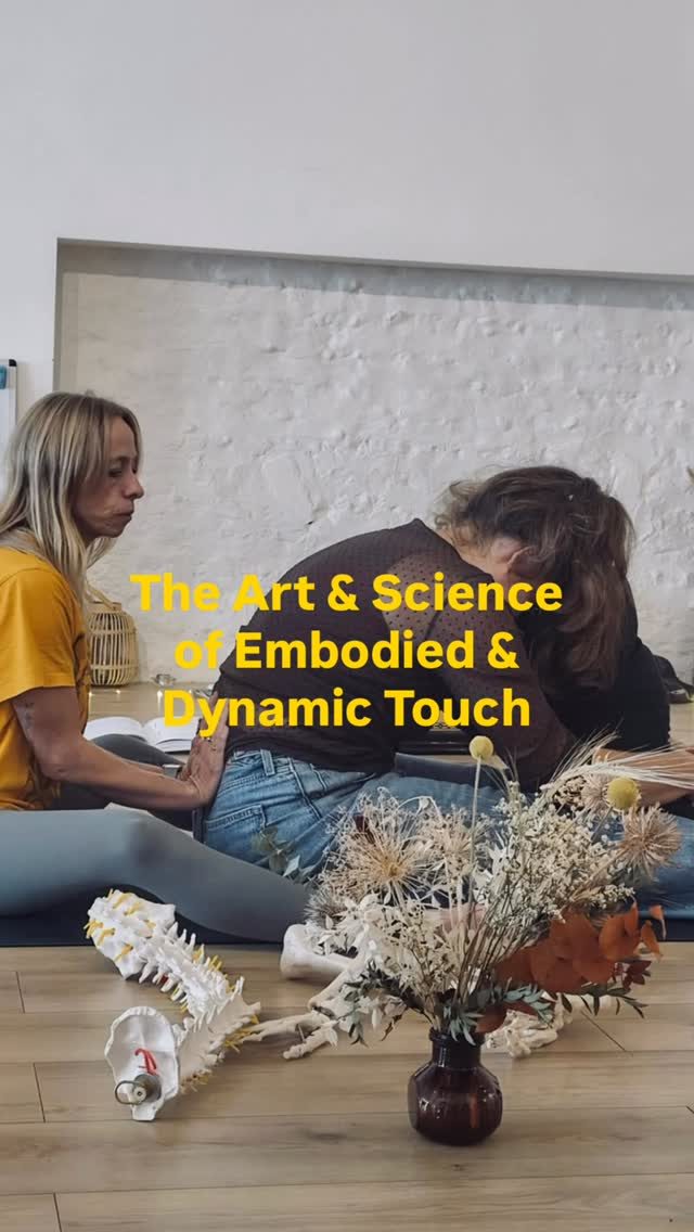 Art and Neuroscience of Embodied and Dynamic Touch — Stretch & Fold, Friday, 20 November 2026