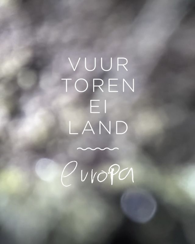 Rein Opt Root & Europa Rest Kitchen Day