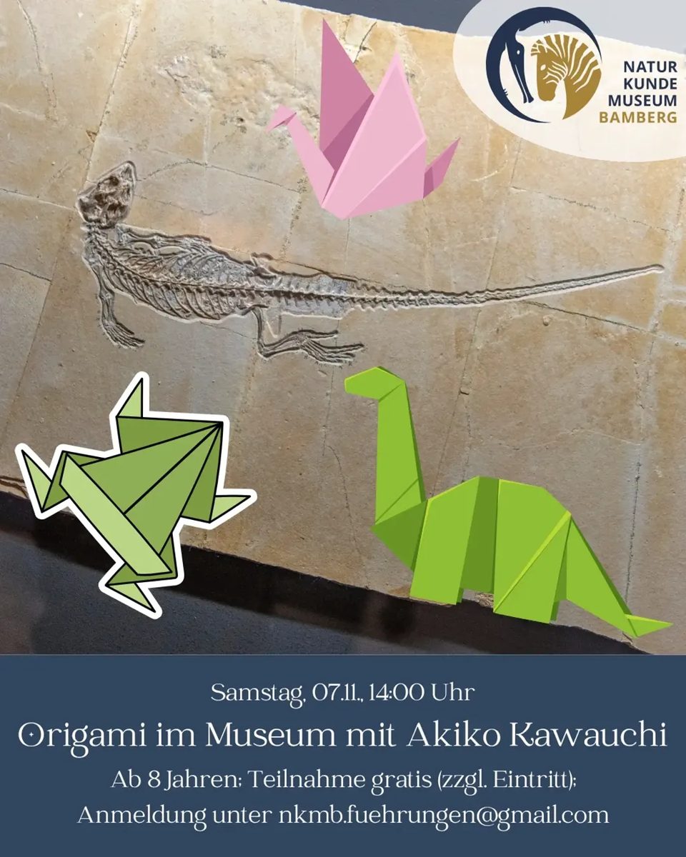 Origami im Museum mit Akiko Kawauchi at Naturkundemuseum Bamberg