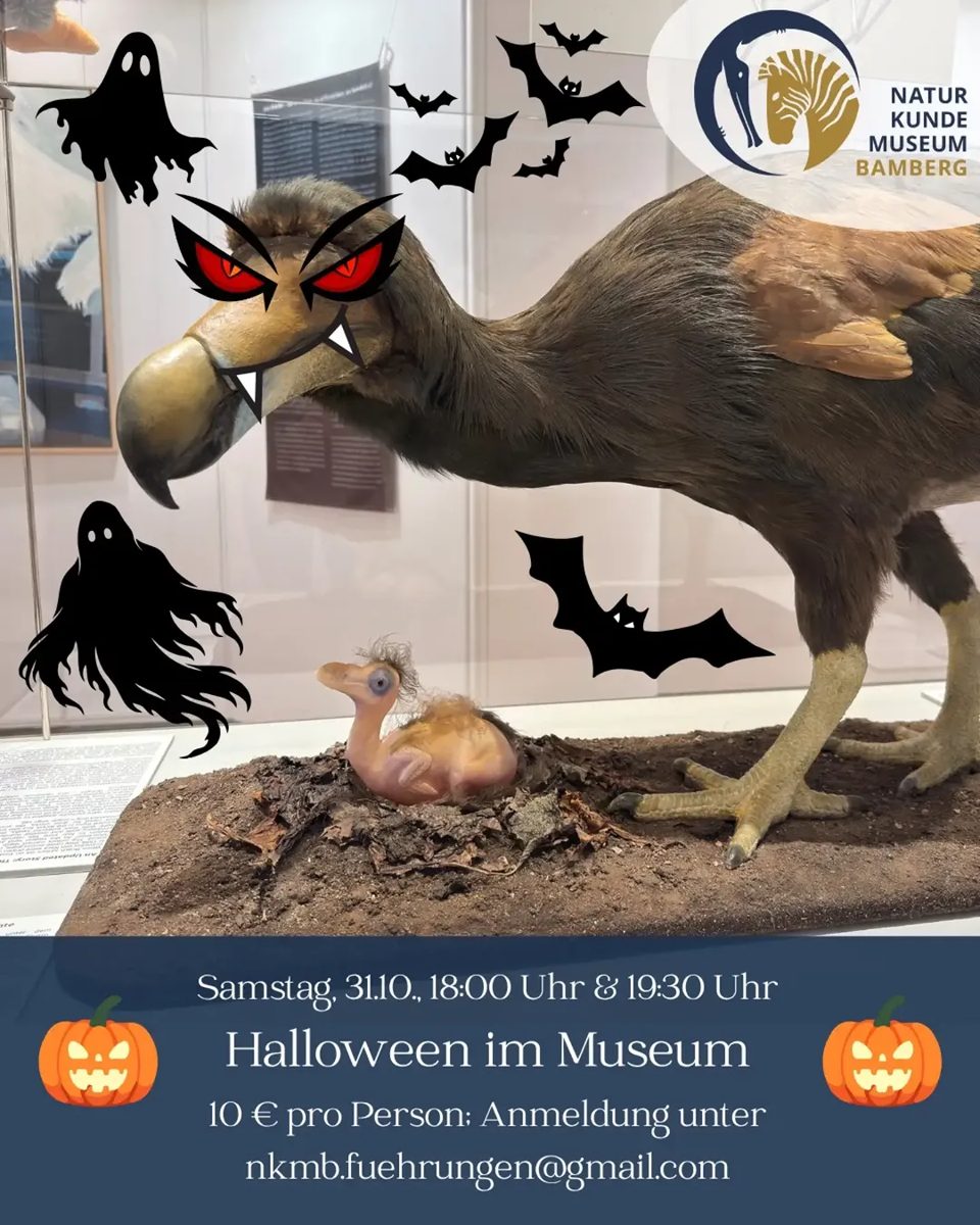 Halloween Ghost Hunt at Naturkundemuseum Bamberg