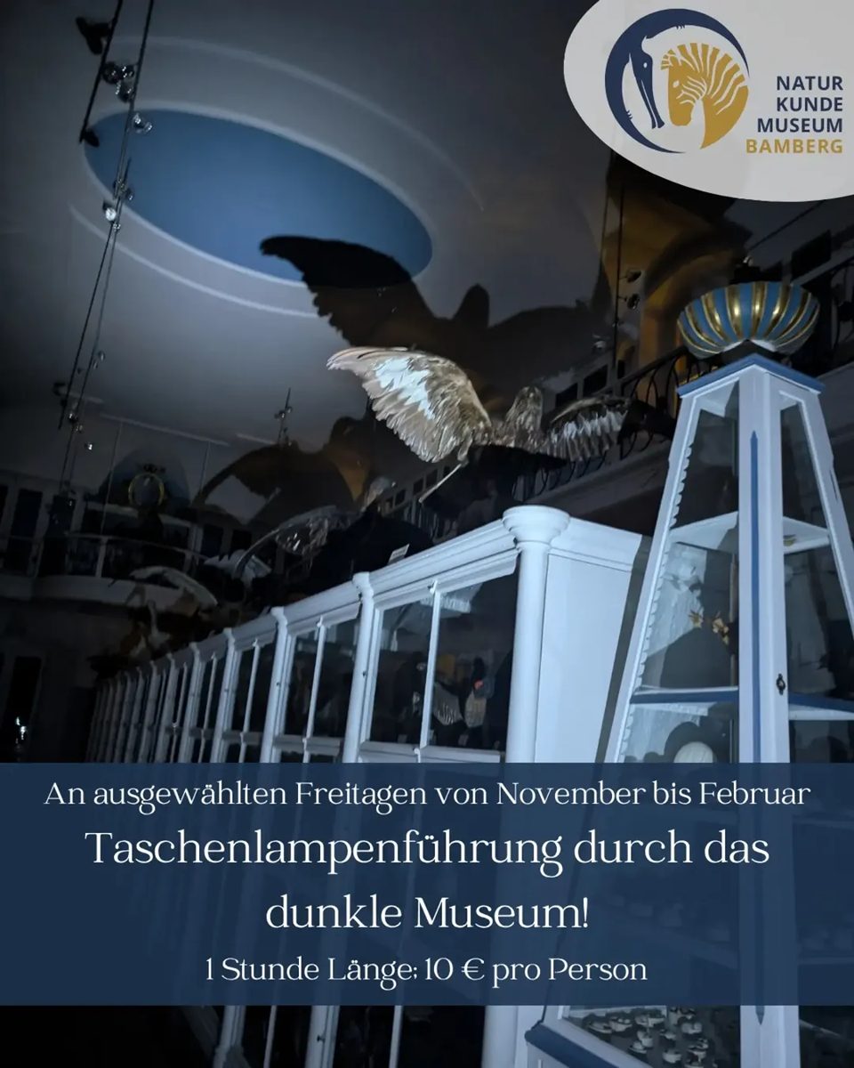 Flashlight Museum Tour at Naturkunde Museum Bamberg