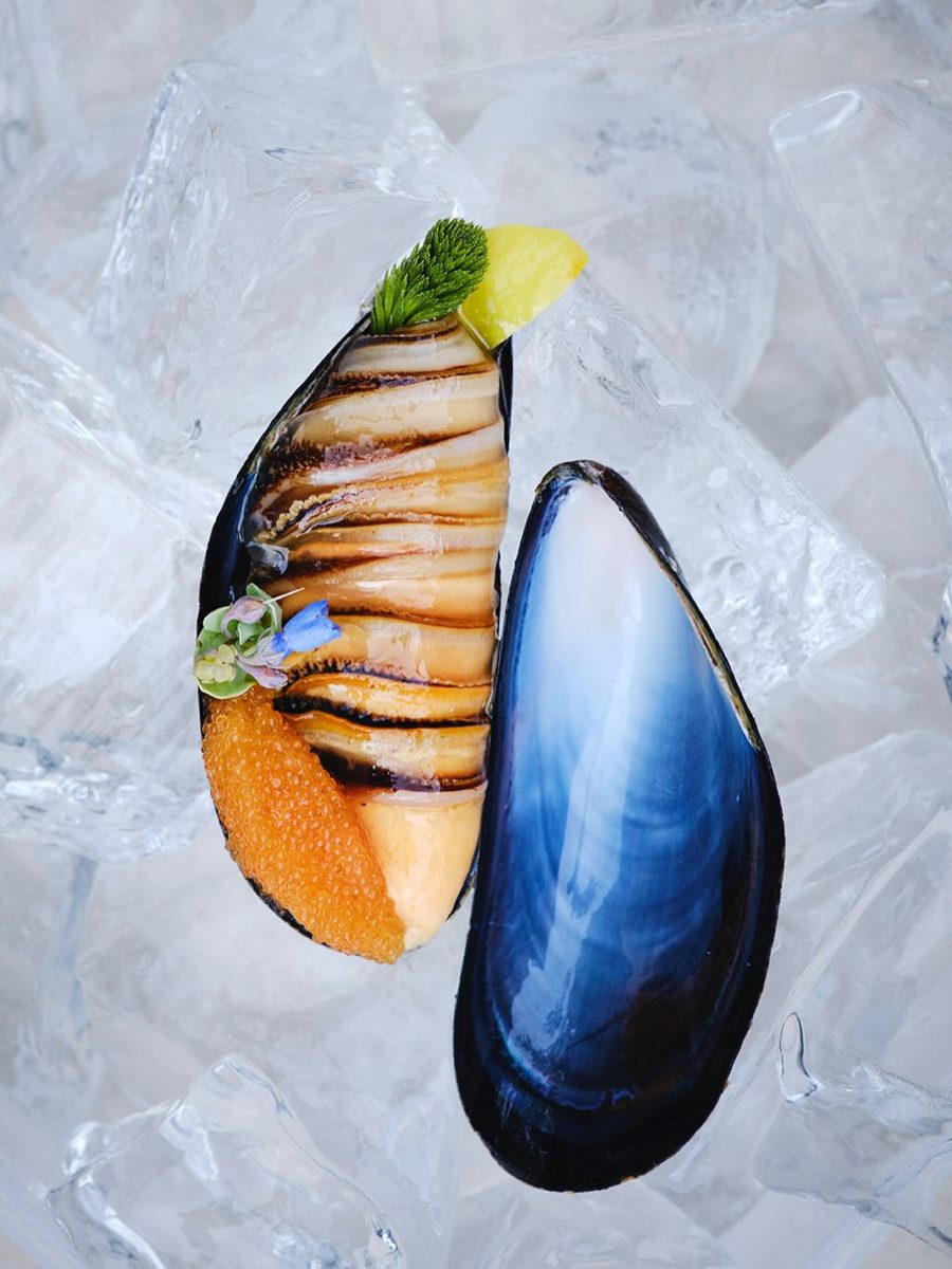 Lunch at Noma — Noma, Saturday, 14 November 2026