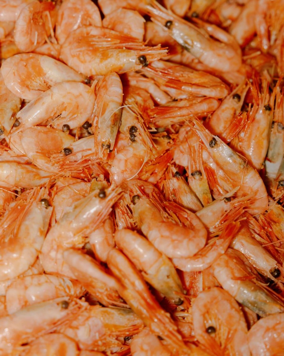 Madland Studietur — Fiskerikajen at Fiskerizakajaen