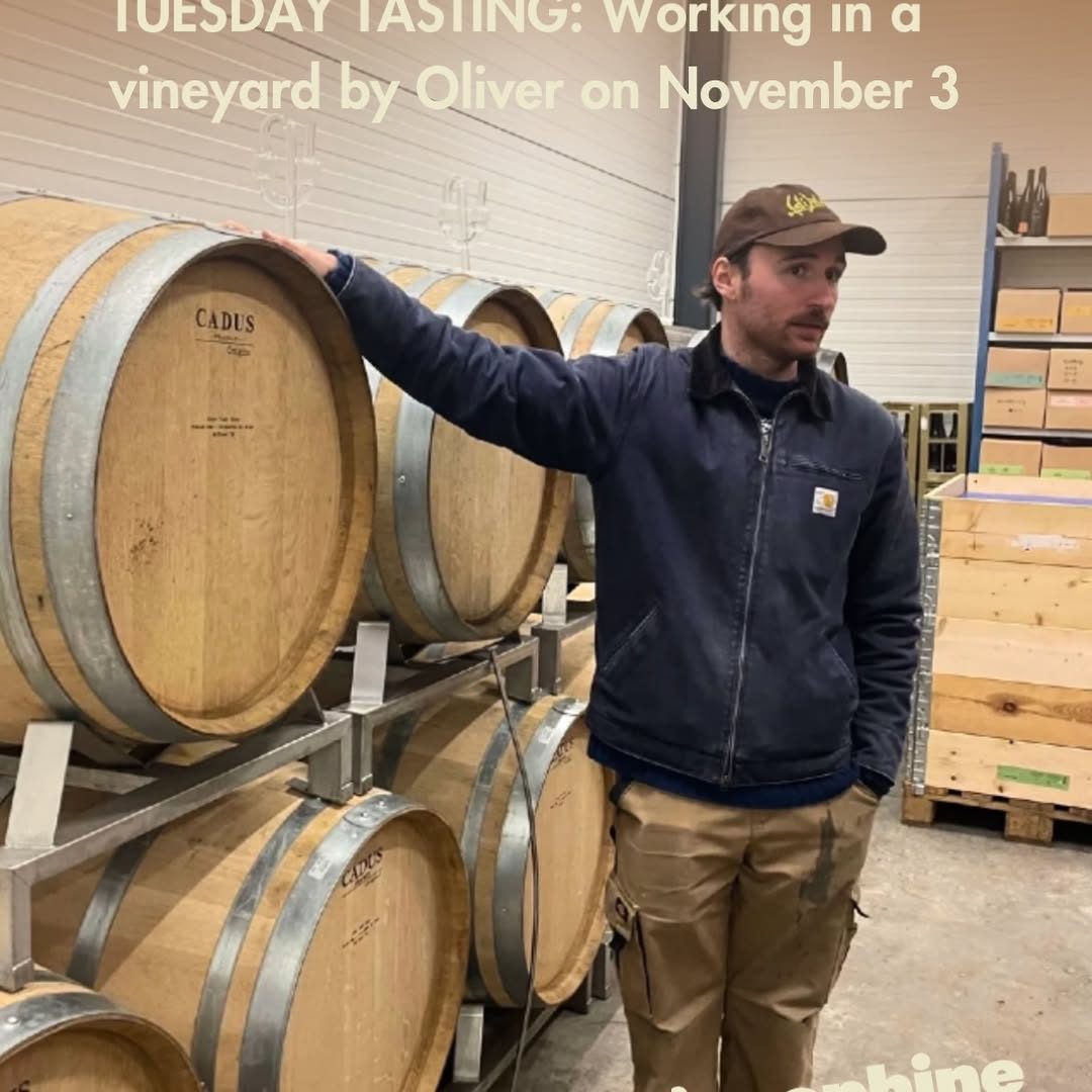 Tuesday Tasting: Vejrhøj Vingård — Josephine, Tuesday, 3 November 2026