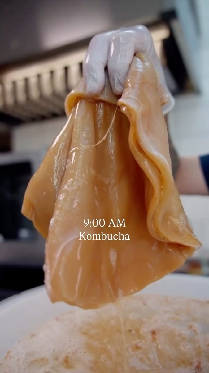 Taste Buds — opening — Noma, Tuesday, 3 November 2026