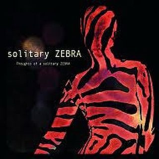 Solitary Zebra at De Singelier
