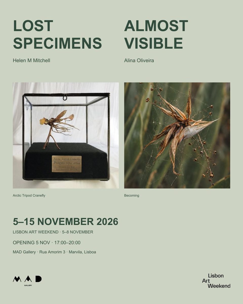 Lost Specimens / Almost Visible — The Marvila Bakehouse, Thursday, 5 November 2026