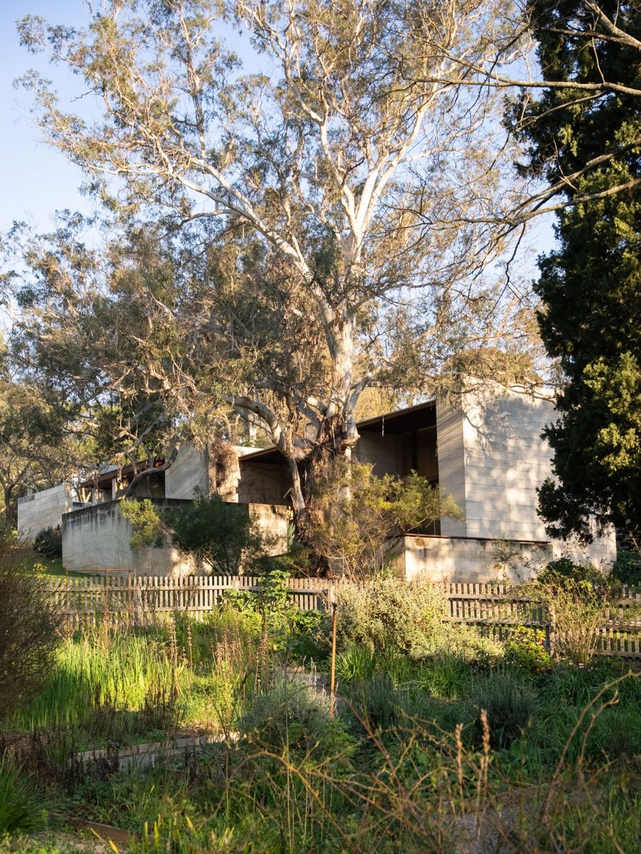 Architecture Tour at Heide II