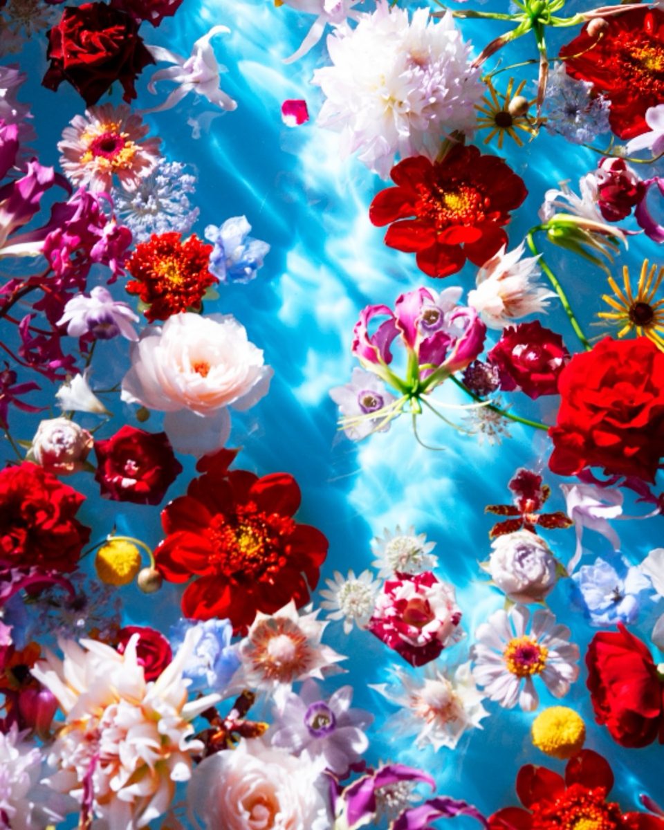Alive with Shadows — Mika Ninagawa — Grand Palais, Wednesday, 16 December 2026