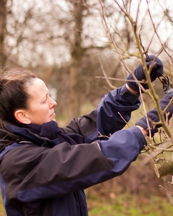 Natuurwerkdagen — Stadsboerderij Griftsteede | Utrecht Natuurlijk, Friday, 6 November 2026